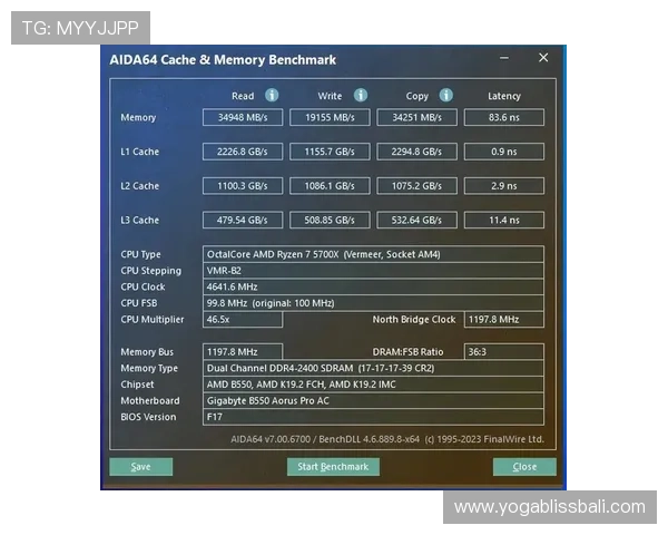 广东ag的贵宾会如何提升您的游戏等级与尊贵体验详细指南