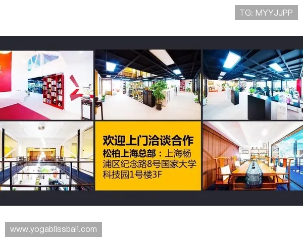 未来趋势下的K8集团代理发展路径，打造行业领先的合作生态体系